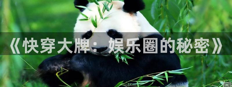 one游戏体育平台