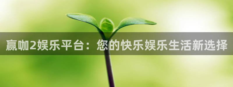 one游戏官网