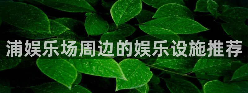 one游戏网站