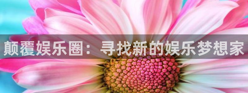 one游戏平台官网入口