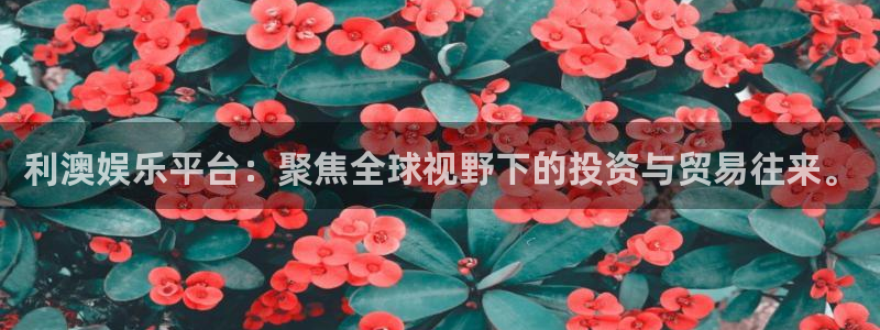 one游戏体育平台