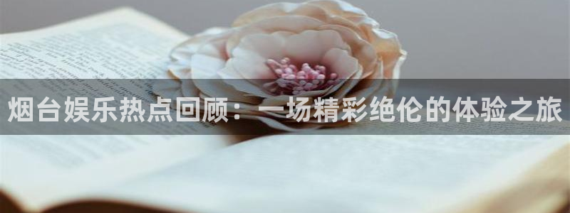 one游戏