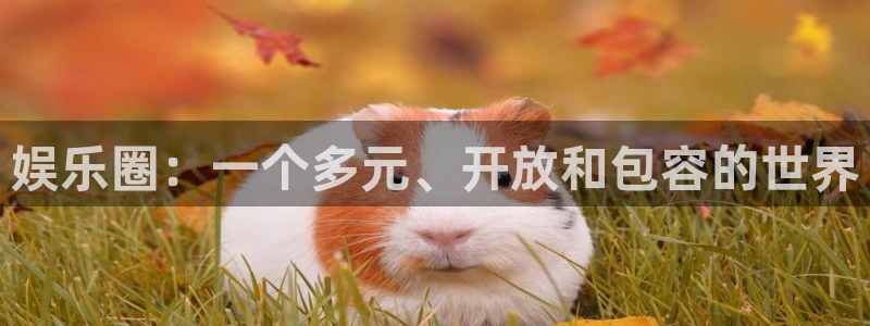 one游戏体育平台