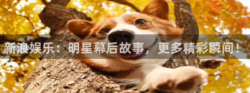 one游戏体育平台